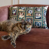 Tissu de décoration Semi-panama Portraits de chats – vert foncé/or,  thumbnail number 5