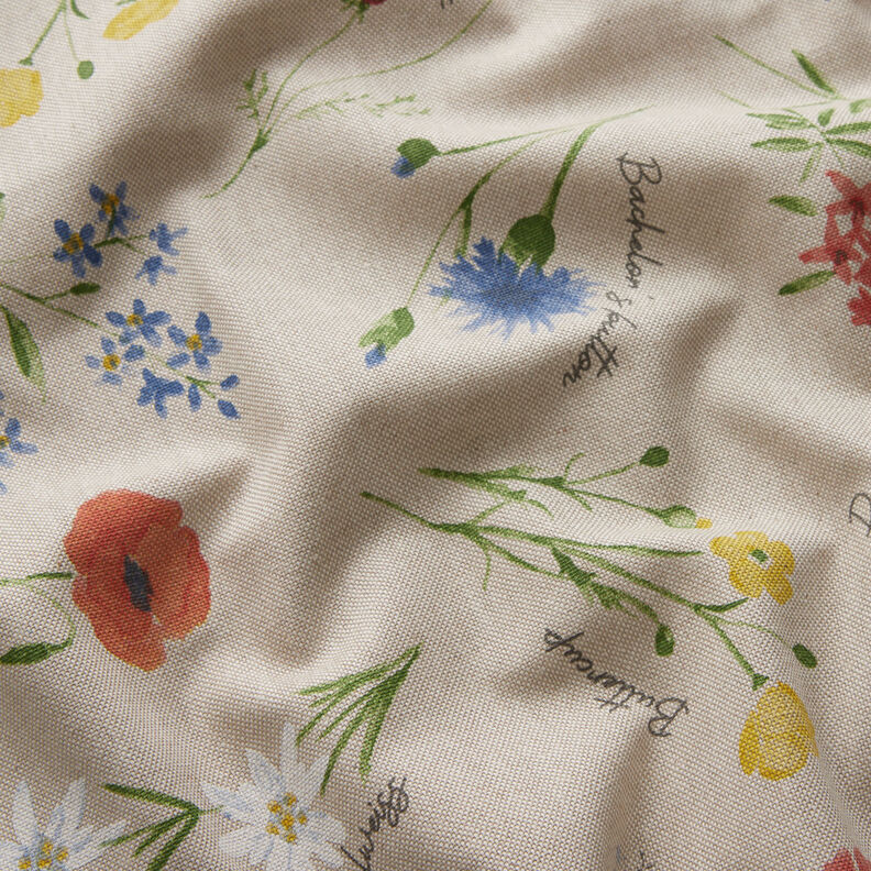 Tissu de décoration Semi-panama Fleurs alpines – nature/bleu, image number 2
