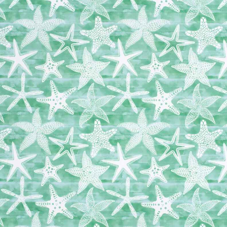 Tissus pour maillot de bain UPF50 Étoiles de mer – eucalyptus/blanc,  image number 1