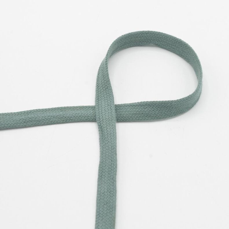 Cordon plat Sweat-shirt à capuche Coton [15 mm] – roseau,  image number 1