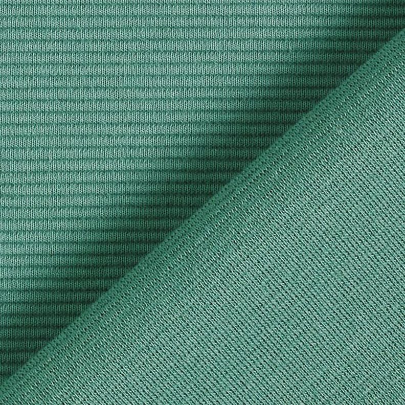 Jersey côtelé ottoman uni – roseau, image number 4