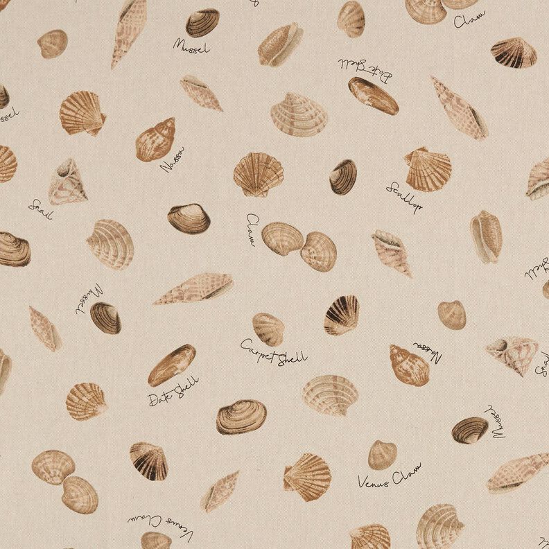 Tissu de décoration Semi-panama Noms de coquilles – nature/brun-marron,  image number 1