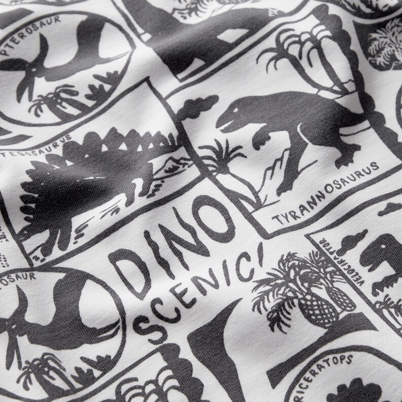 Jersey coton Patchs dinosaures | by Poppy blanc/anthracite,  image number 2