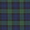 Carreau écossais Stretch – navy/vert,  thumbnail number 1