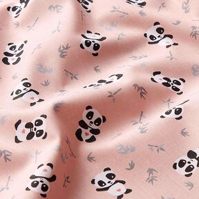 Tissu en coton Cretonne Panda câlin – rose, 