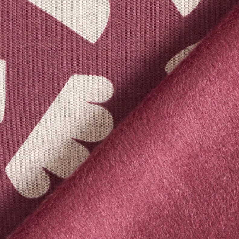 Polaire alpin Formes abstraites  – raisin/nature,  image number 4