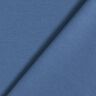 Jersey romanite Premium – gris bleu,  thumbnail number 3