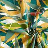 Coton enduit zarte Blätter – sapin bleu/jaune curry,  thumbnail number 4