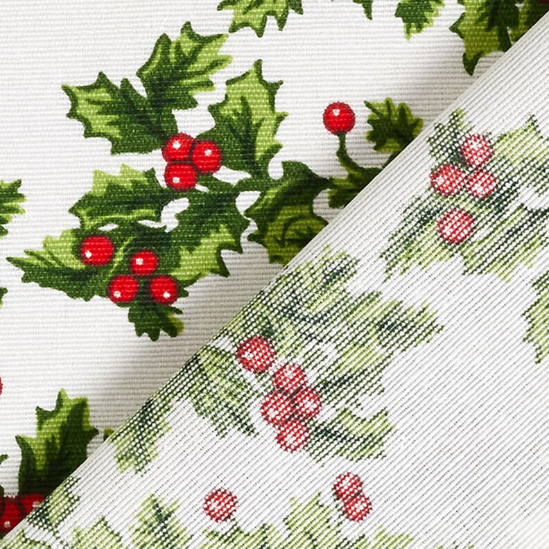Tissu de décoration Canvas Gui – vert/rouge,  image number 4