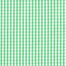 Soie à ballons carreaux Vichy – vert/blanc,  thumbnail number 1