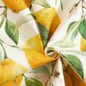 Tissu d’extérieur Canvas Citrons – ivoire/jaune citron,  thumbnail number 4