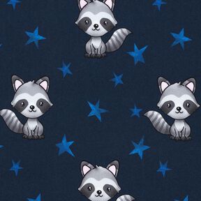 Jersey coton Raton laveur et étoiles | Glitzerpüppi – bleu nuit/argent, 
