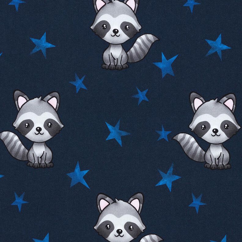 Jersey coton Raton laveur et étoiles | Glitzerpüppi – bleu nuit/argent, image number 1