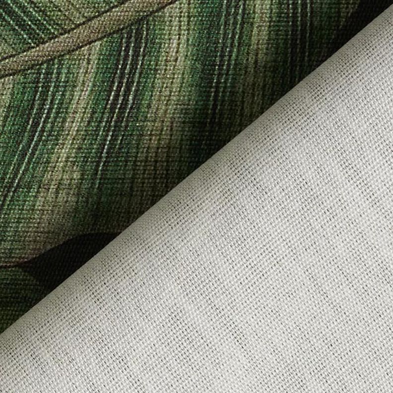 Tissu d’extérieur Canvas Feuilles de palmier – vert foncé,  image number 4