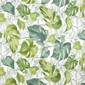 Tissu décoratif Toile grandes feuilles de monstera – blanc/vert herbe, 