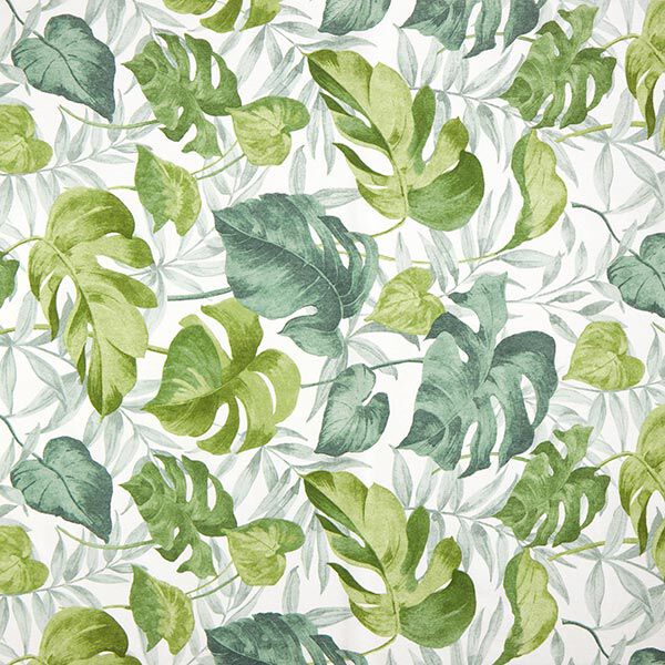 Tissu décoratif Toile grandes feuilles de monstera – blanc/vert herbe, image number 1