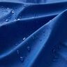 bleu roi