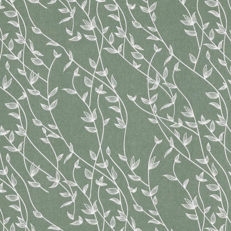 Popeline coton Vrilles de feuilles – roseau, image number 1