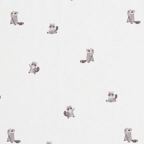 GOTS Jersey coton jolis ratons laveurs Impression numérique – ivoire, 