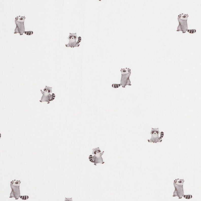 GOTS Jersey coton jolis ratons laveurs Impression numérique – ivoire, image number 1