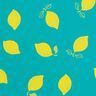 Tissu pour veste de pluie Citrons – menthe poivrée/jaune citron,  thumbnail number 1