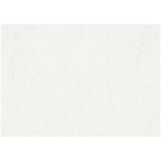 Papier aquarelle [Dimensions : A2 / 200g], 