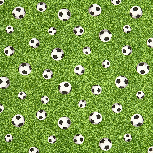 Tissu de décoration Canvas Terrain de football – vert,  image number 1