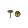 clous tapissier [ 17 mm | 50 Stk.] - or vieilli,  thumbnail number 2