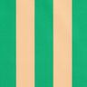 Tissu de décoration Semi-panama Grandes rayures – vert/abricot,  thumbnail number 1