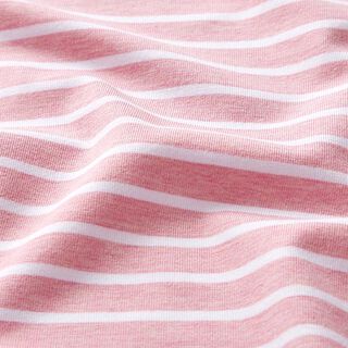 GOTS Jersey coton bande | Albstoffe – rose/blanc, 