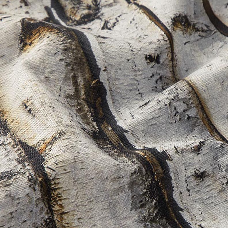 Tissu de décoration Semi-panama troncs de bouleaux – gris clair,  image number 2