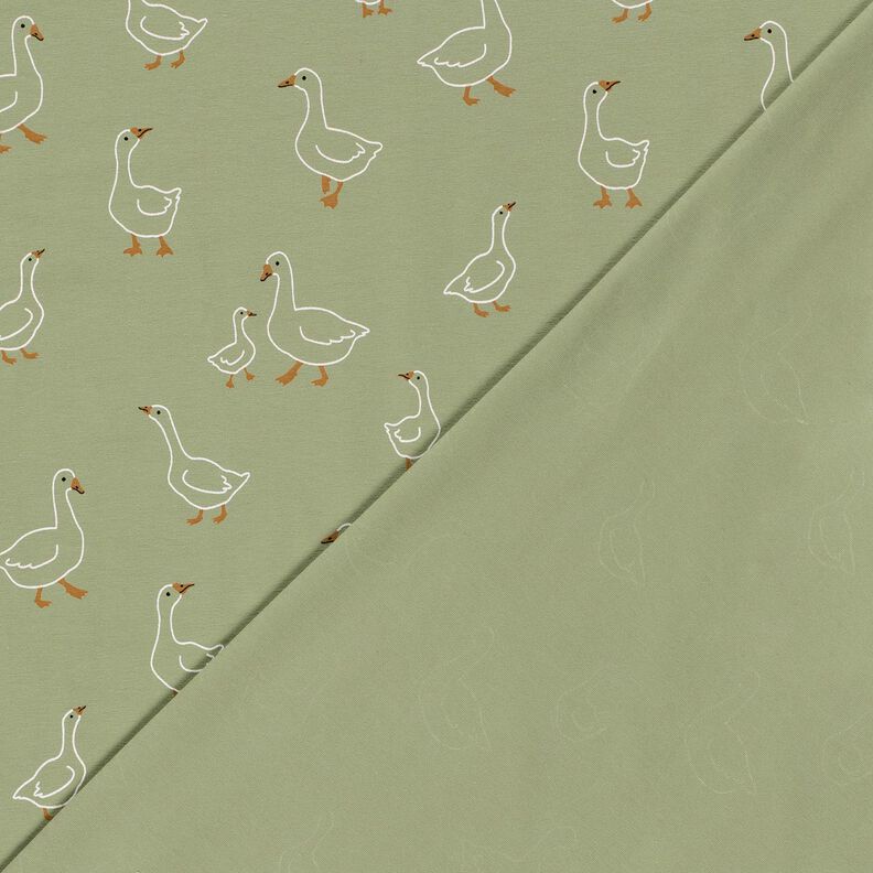 Jersey coton Famille d'oies – roseau,  image number 4
