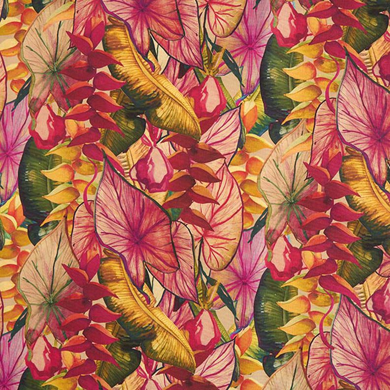 Tissu d’extérieur Canvas Feuillage exotique – carmin/lilas, image number 1