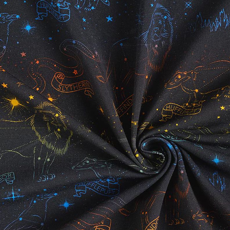 Jersey coton Tissu sous licence Emblèmes constellations Harry Potter | Warner Bros. – noir,  image number 3