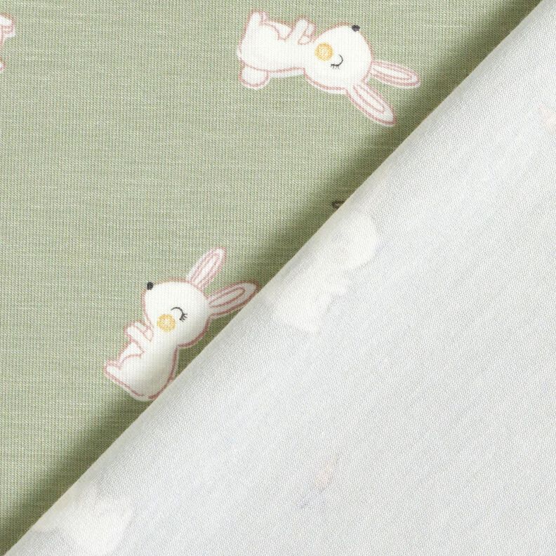 Bambou Jersey coton Lapin et carotte – greige,  image number 4