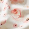 Jersey coton Roses aquarelle Impression numérique – ivoire/saumon,  thumbnail number 2