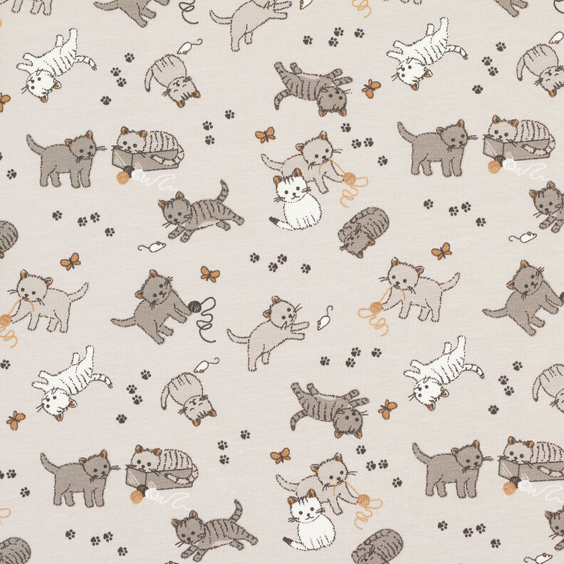 Jersey coton Chats mignons – gris brume,  image number 1
