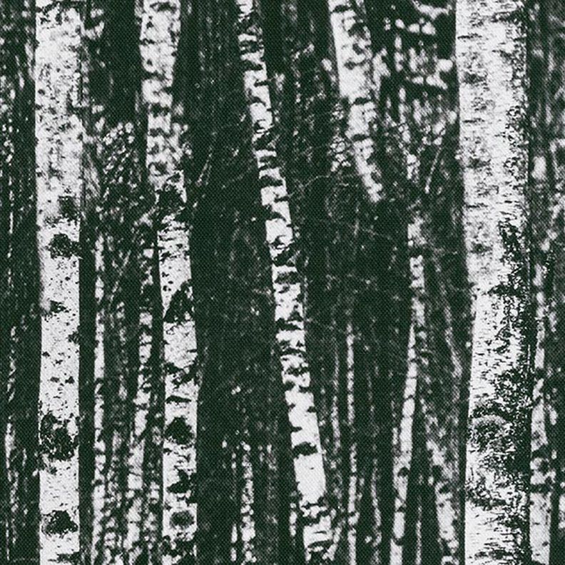 Tissu de décoration Semi-panama forêt de bouleaux – noir/blanc,  image number 6