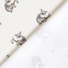 GOTS Jersey coton Koala Impression numérique – ivoire,  thumbnail number 4