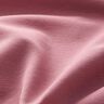 violet pastel violet pastel