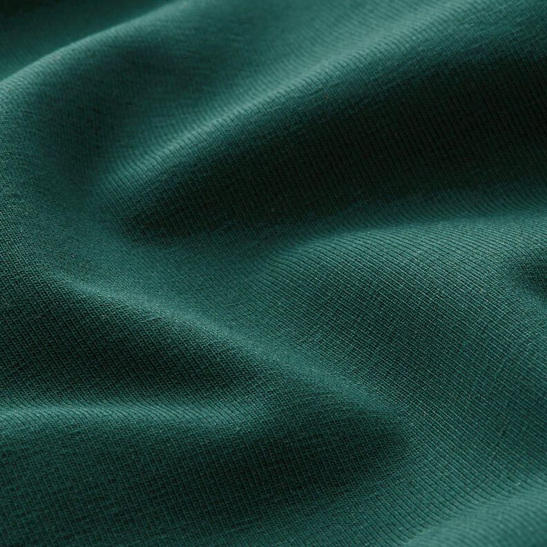 Jersey coton Medium uni – sapin bleu, image number 4