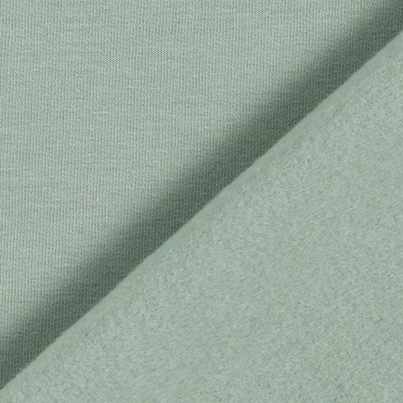 Molleton coton léger uni – roseau, image number 5