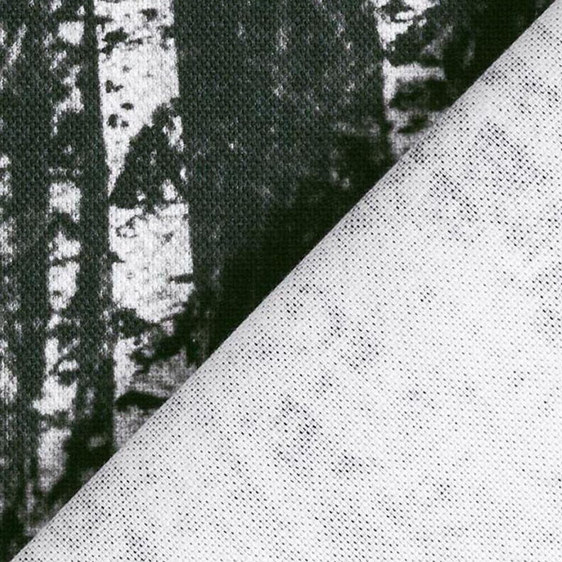 Tissu de décoration Semi-panama forêt de bouleaux – noir/blanc,  image number 4