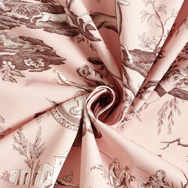 Tissu de décoration Canvas Antiquités 280 cm – rose clair/marron,  image number 3