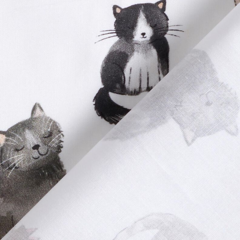 Popeline coton Chats heureux Impression numérique | Poppy Fabrics – blanc,  image number 4