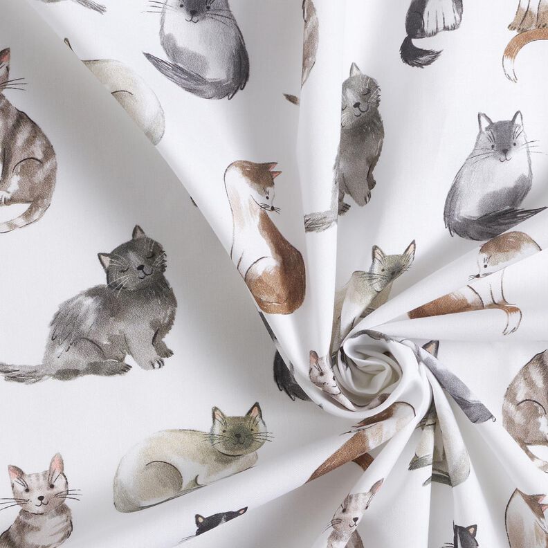 Popeline coton Chats heureux Impression numérique | Poppy Fabrics – blanc,  image number 3