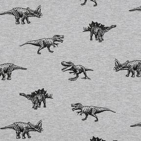 French Terry Sweat d’été Dinosaures – argent/noir, 