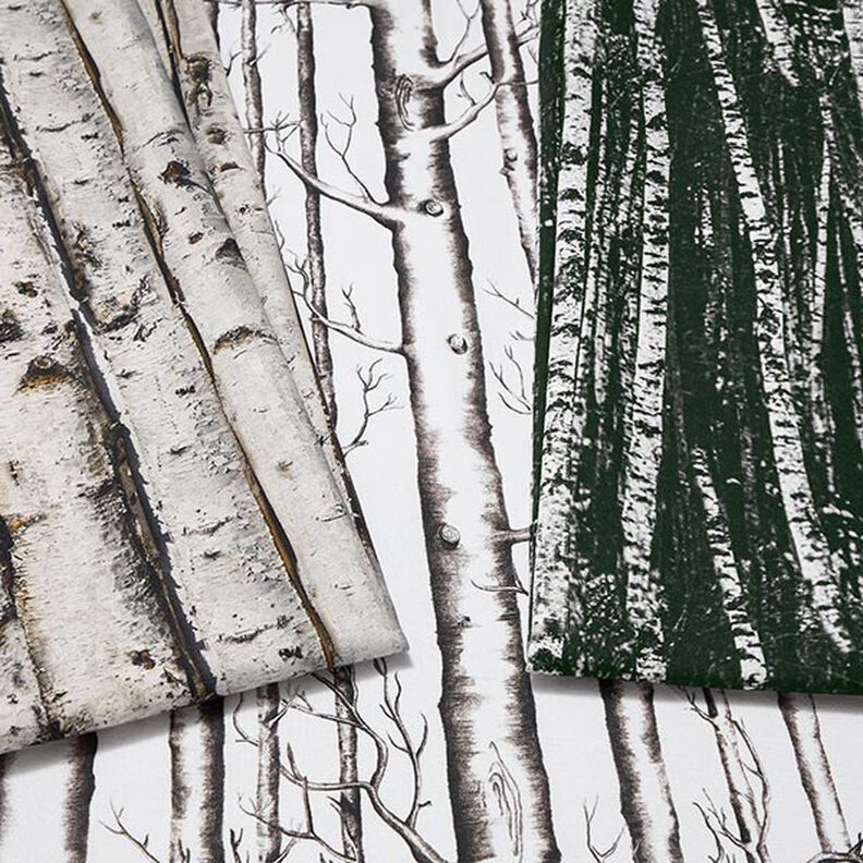 Tissu de décoration Semi-panama troncs d'arbres – écru,  image number 5
