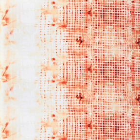 GOTS Batiste de coton Tissu bordure à carreaux avec dégradé de couleurs | TCC x LOOKS by Wolfgang, 