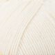 Regia uni 6 fils, 150 g | Schachenmayr (1992),  thumbnail number 2